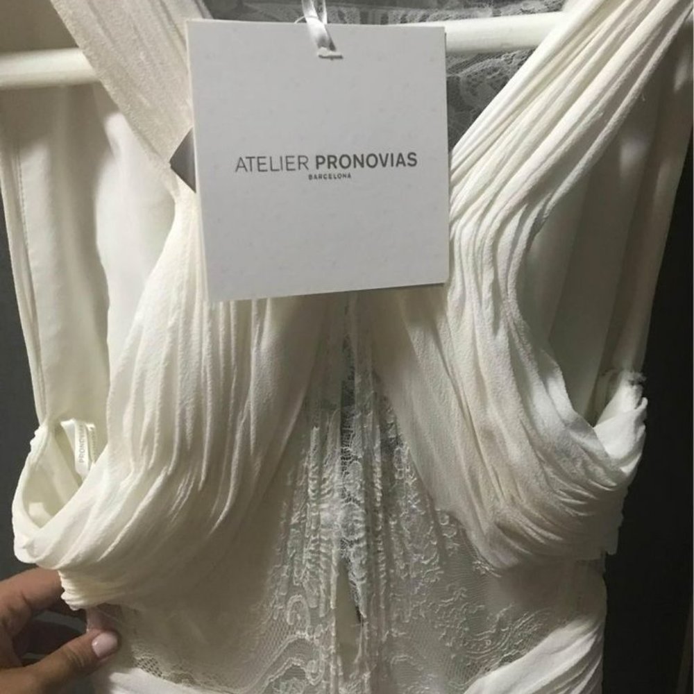 Pronovias Rimor Wedding Dress - Picture 6 of 10